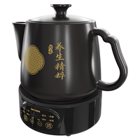 天际（TONZE）煎药壶 中药壶中药锅 陶瓷智能全自动分体式熬药罐 3L大容量家用养生陶瓷药膳壶  BJHD23B30FAW 【⭐三代】智能煎药 3L