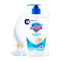 Safeguard 舒肤佳 健康抑菌洗手液 海盐天然洁净型 450ml
