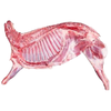伊民康洋 宁夏滩羊肉 生鲜羔羊前腿羊排组合礼盒 净含量5kg 清真 源头直发 前腿排10斤（4斤前腿+6斤排）