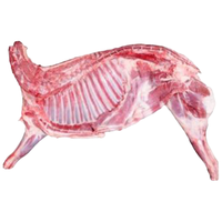 伊民康洋 宁夏滩羊肉 生鲜羔羊前腿羊排组合礼盒 净含量5kg 清真 源头直发 前腿排10斤（4斤前腿+6斤排）