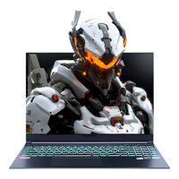  MECHREVO/机械革命 RTX4070 笔记本电脑  12代酷睿 2560*1600 灰色 165Hz 16GB