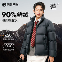  YANXUAN/网易严选 抗菌防泼水 羽绒服  A款25秋冬-筠雾绿-立领 S （165/88A）