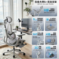 乐瓦ENOVA合金大师人体工学椅子家用舒适久坐办公椅电竞电脑座椅 银河灰【S+版】【U-MESH网布+4档快调底盘+360度6D扶手+铝合金脚+脚踏】