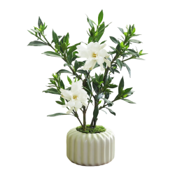 八芽 小叶栀子花盆栽开花植物室内桌面茶几好养花卉绿植办公室净化空气 小叶栀子花-陶瓷竖纹盆-密胺托
