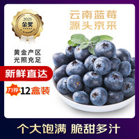 移动端、京东百亿补贴：芫曦 云南花香蓝莓 15mm+ 4盒装 单盒100-125g