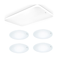 Panasonic 松下 客厅灯吸顶灯现代简约遥控调光调色灯具 四室一厅