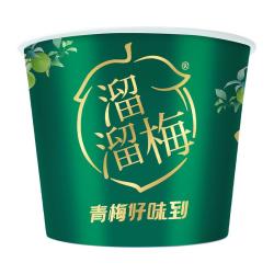 溜溜梅 青梅全家桶600g 西梅酸话梅蜜饯果干休闲零食礼包