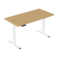 乐歌电动升降桌电脑桌双电机站立办公家用学习书桌ES2Pro/1.6m原木色