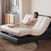 乐歌 智能床电动床大床双人床 多功能床主次卧婚房家用轻奢床