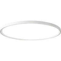 欧司朗(OSRAM)卧室灯吸顶灯护眼LED灯具全光谱防蓝光主卧灯超薄32W 【全光谱儿童灯】超薄款-RG0护眼