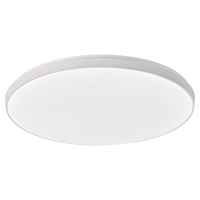 雷士 NVC   Lighting LED吸顶灯 卧室灯阳台走廊过道高显色三防一体快装封闭设计灯具 IP40防蚊虫升级-24瓦白光【白色】