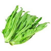 绿农说 油麦菜 300g