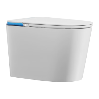 ARRTOTO智能马桶一体机内置泡沫盾全自动即热式轻音冲水无水压限制坐便器 CES889DP豪华版脉冲清洗水质过滤 下单备注250/300/350/400坑距