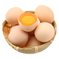 筱诺农场现捡柴鸡蛋新鲜土鸡蛋 农家笨鸡蛋柴鸡蛋草鸡蛋 20枚装