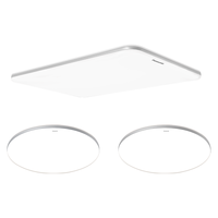 Panasonic 松下 客厅灯 LED吸顶灯米家智能控制灯具 二室一厅