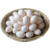均鲜新鲜鸽子蛋杂粮喂养农家特产白鸽蛋信鸽蛋宝宝儿童土鸽子蛋 30枚初生鲜鸽蛋【宝宝鸽蛋】