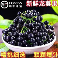 移动端、京东百亿补贴：金百粟 四川龙葵果 净重250g