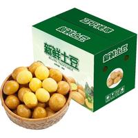 【彩箱精品】恩施黄心小土豆新鲜5斤黄皮小土豆新鲜迷你洋芋