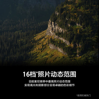  SONY/索尼 约30张/秒高速连拍 全画幅微单相机  单机身