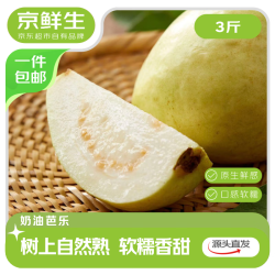 京鲜生 礼盒 精品白心芭乐番石榴新鲜水果 12个装 源头直发 精品 白心12粒 礼盒装
