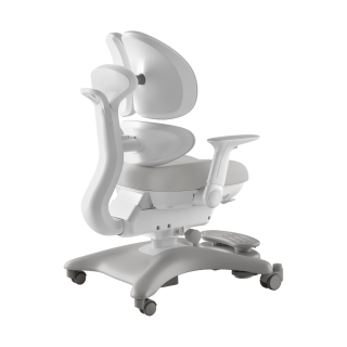 黑白调 学习时光儿童学习椅座椅子矫姿写字椅升降久坐舒服餐桌椅 G6追背星Pro灰椅套粉