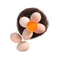 sundaily farm 圣迪乐村 谷物鸡蛋 12枚