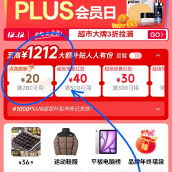 京东双12补贴200-20膨胀神券