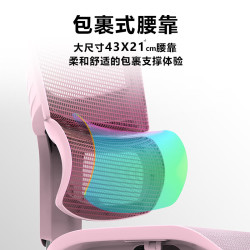 Ergomax 人体工学 电脑椅  雅典灰（标准版）