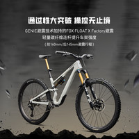 SPECIALIZED S-WORKS STUMPJUMPER 15 DI2 碳纤维避震山地车