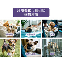 ROYAL CANIN/皇家 小型犬情绪舒缓配方粮