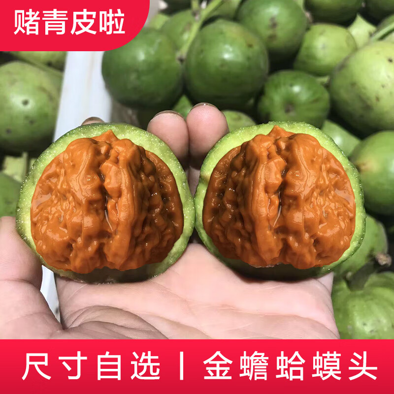 老农哥【蛤蟆头青皮】金蟾延庆开背文玩核桃带皮蛙蛙呱呱自开小众青皮 金蝉蛤蟆头 60mm蛤蟆头青果【1对】