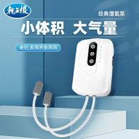 龙王恨活鱼增氧泵usb充电迷你家用大气量减震户外增氧泵垂钓便捷