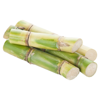 汇阳 北方甘蔗种子青皮甜杆高粱种植南方水果四季种籽 北方甘蔗种子200粒