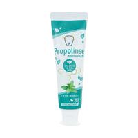 Propolinse 比那氏蜂胶薄荷牙膏120g 日本进口清新口气淡化牙渍防蛀清洁口腔牙齿