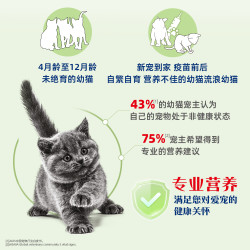 皇家 VCN幼猫全价配方粮 FG36 2kg 猫干粮