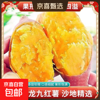 京喜 现挖沙地蜜薯空气炸锅红薯沙地板栗薯新鲜自种龙九正宗黄心香甜 2斤 带箱 中小果