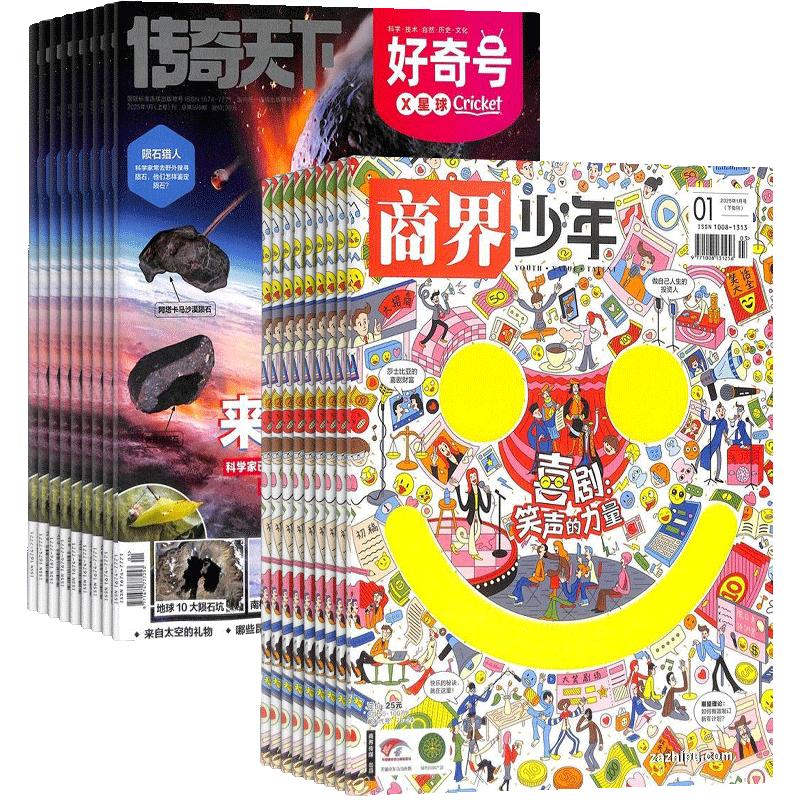 商界少年+好奇号杂志组合订阅 2026年1月起订 1年组合共24期 科普（先发“杂志订阅清单）