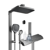 ARROW 箭牌 HM-P02ZGGW 淋浴花洒套装 枪灰