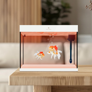 可丽爱（CLEAIR）Cleair未来系列超白玻璃小型金鱼缸客厅桌面生态水族箱 白色C1-500单缸（遥控变光）