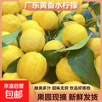 京喜 Guangdong 广东 香水柠檬 6粒 70g+ 0.5kg