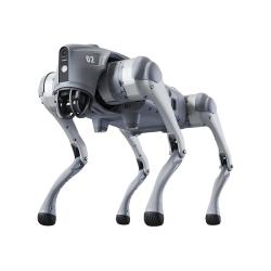 Unitree 宇树 Unitree Go2 语音 AI大模型 机器狗Go2 电子狗 具身智能 伴随 仿生陪伴机器人 四足机器狗 现货