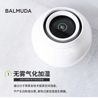 BALMUDA 无雾加湿器 孕妇婴儿家用静音卧室空气净化加湿机