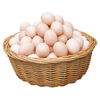 故乡食召 鸡蛋 散养谷物蛋 农家喂养 初生鲜鸡蛋 8枚 320g
