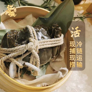 【活蟹】江问鱼 大闸蟹公4.5-4.8两/只 母3.5-3.8两/只 4对8只装 鲜活大闸蟹礼盒生鲜 公4.5-4.8两 母3.5-3.8两 4对8只