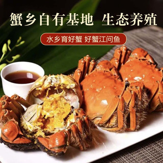 【活蟹】江问鱼 大闸蟹公4.5-4.8两/只 母3.5-3.8两/只 4对8只装 鲜活大闸蟹礼盒生鲜 公4.5-4.8两 母3.5-3.8两 4对8只