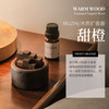 扩香器无火香薰精油家用室内持久卧室熏香摆件车载香氛随身扩香木 扩香木+【甜橙】10ML植物精油