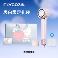  FLYCO/飞科 FH6371 负离子 吹风机