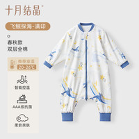 十月结晶婴儿恒温睡袋秋冬四季纯棉儿童宝宝防踢被 飞鲸探海【四季双层20-26℃】 100cm（买大一号）