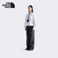 北面（The North Face）单肩背包男女同款Base Camp迷你驮包轻便户外25秋冬|8DJN NL4/紫色