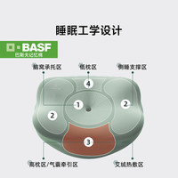 添眠 H02 常规款 碳纳米热敷颈椎枕 记忆棉 广东省